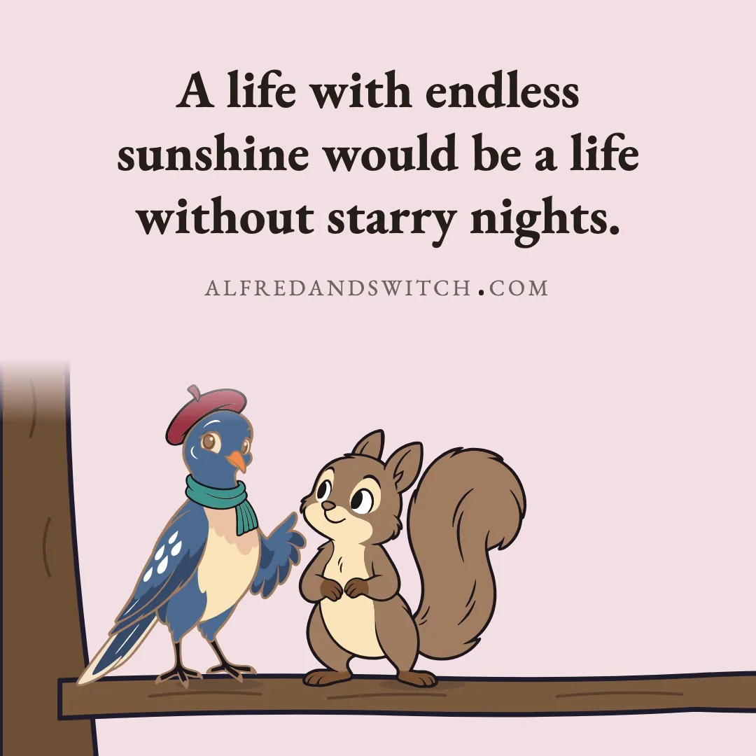 A life with endless sunshine would be a life without starry nights.