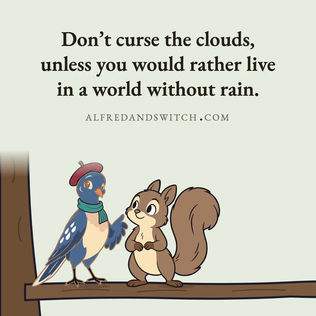 Don’t curse the clouds, unless you would rather live in a world without rain.