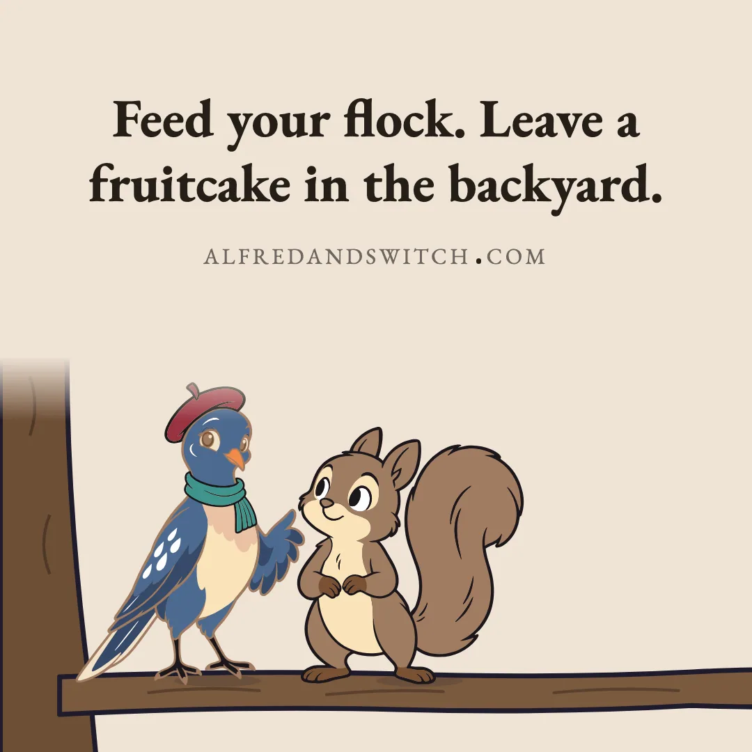 Feed your flock. Leave a fruitcake in the backyard.