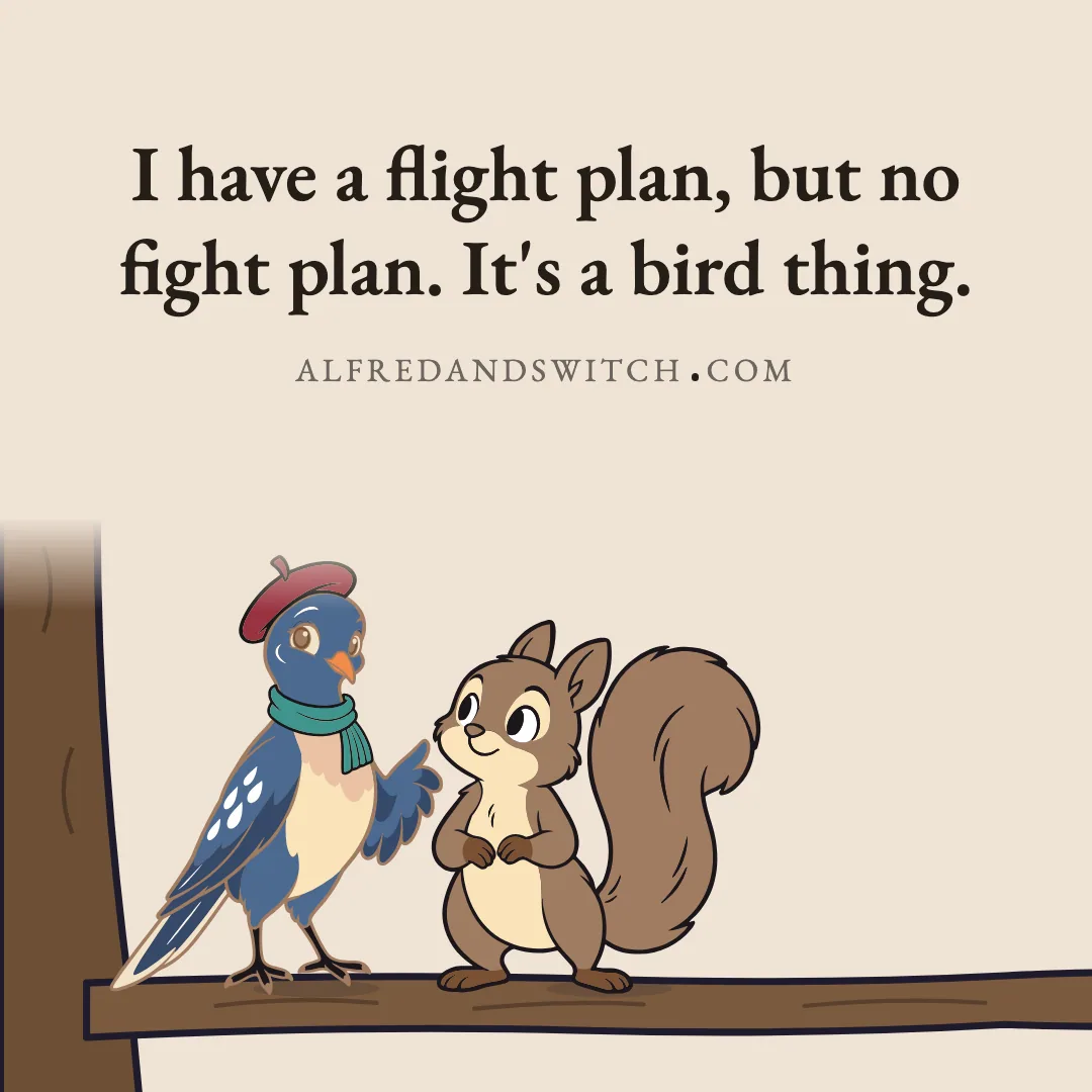 I have a flight plan, but no fight plan. It's a bird thing.
