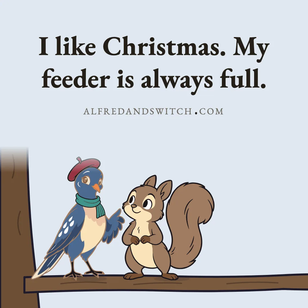 I like Christmas. My feeder is always full.