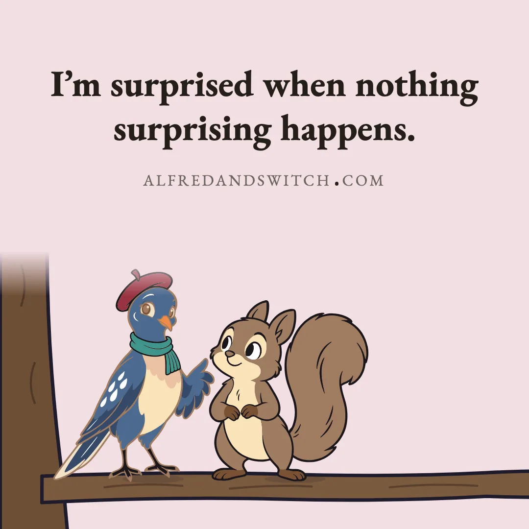 I’m surprised when nothing surprising happens.