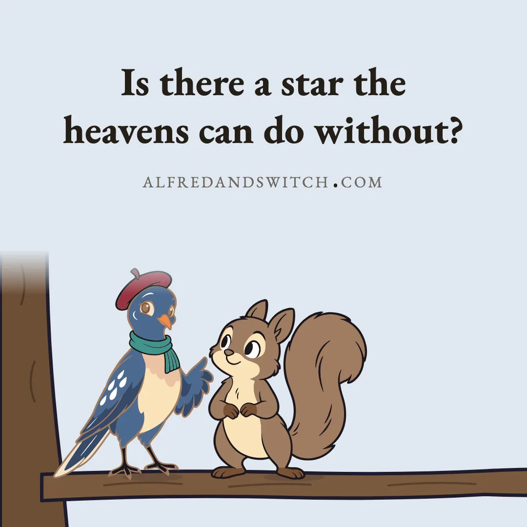 Is there a star the heavens can do without?