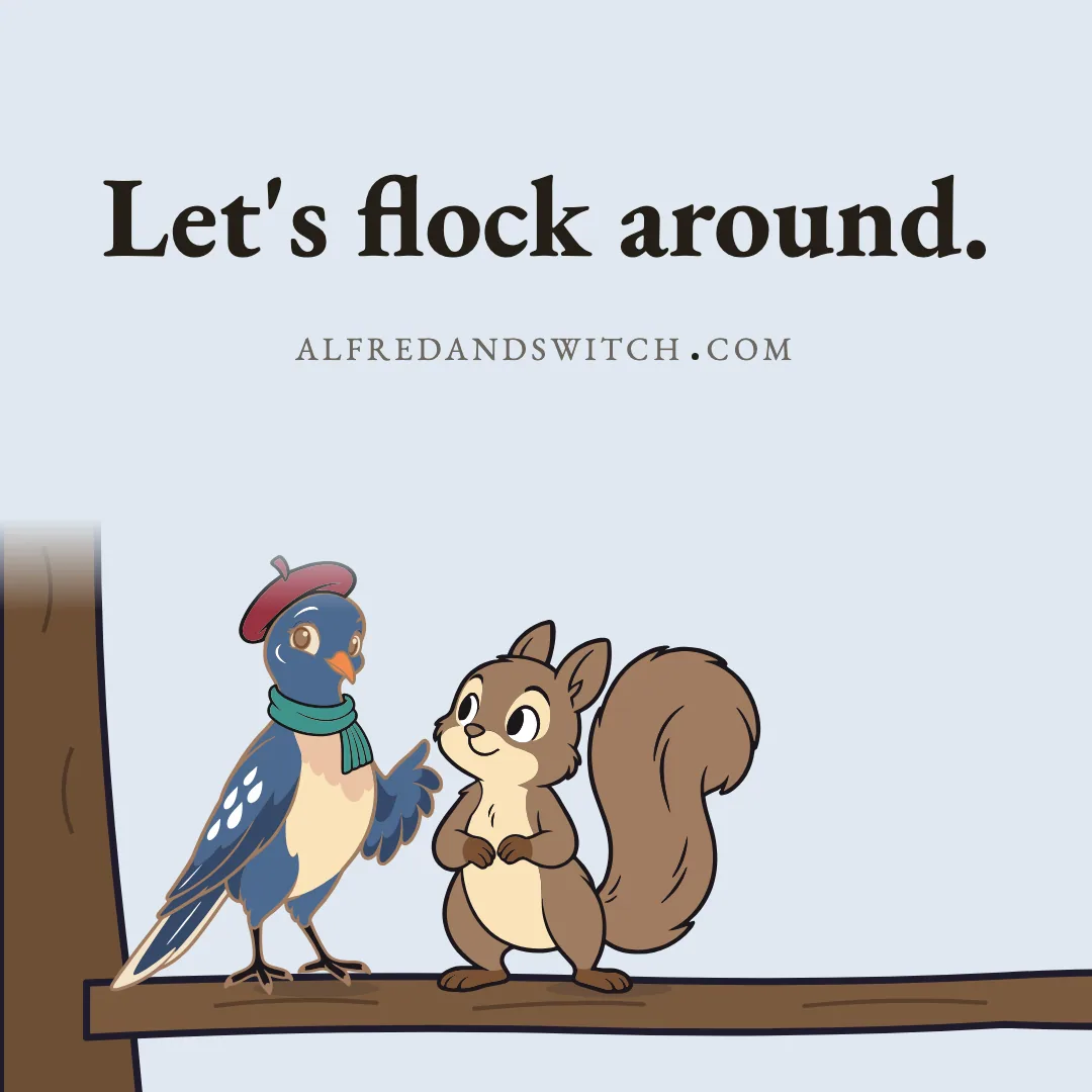 Let's flock around.