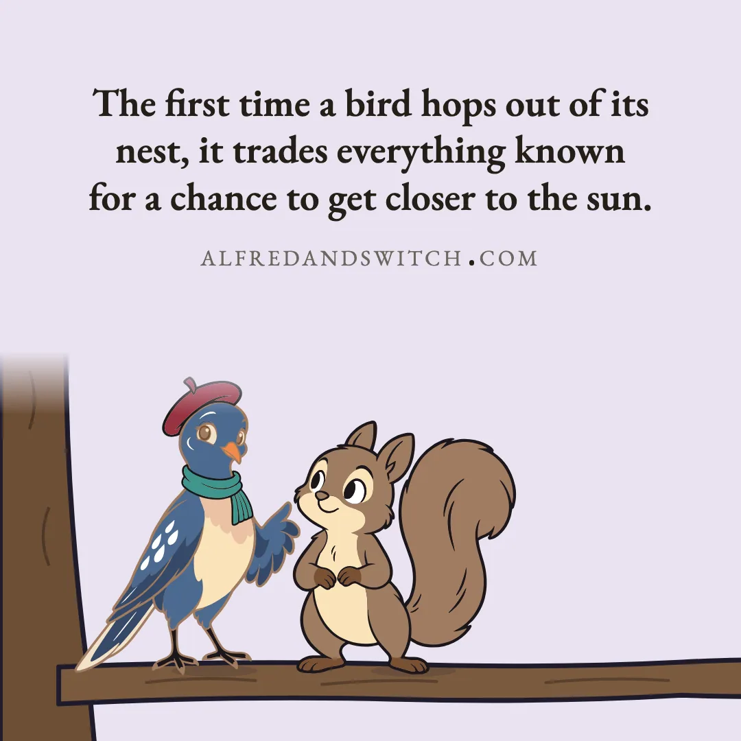 The first time a bird hops out of its nest, it trades everything known for a chance to get closer to the sun.