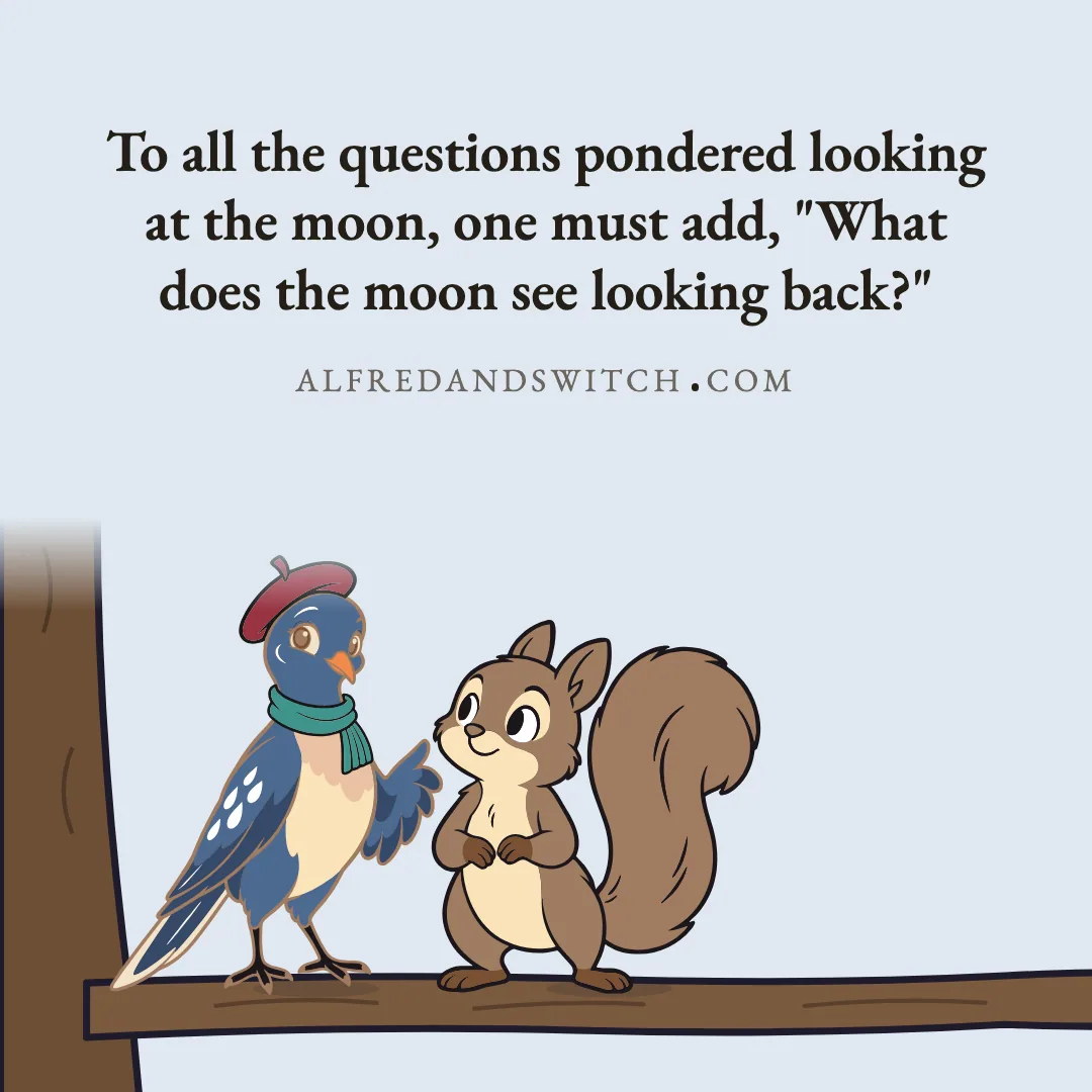 To all the questions pondered looking at the moon, one must add, "What does the moon see looking back?"