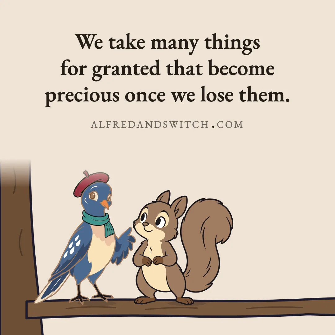 We take many things for granted that become precious once we lose them.